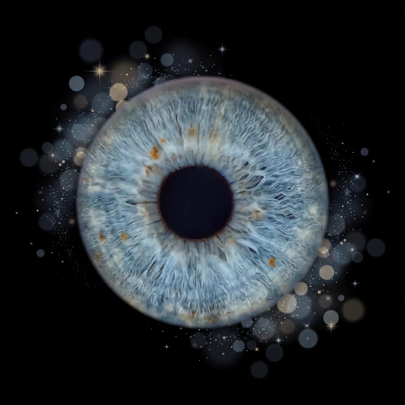 Blaue Iris mit weichen Lichtreflexen auf schwarzem Hintergrund
