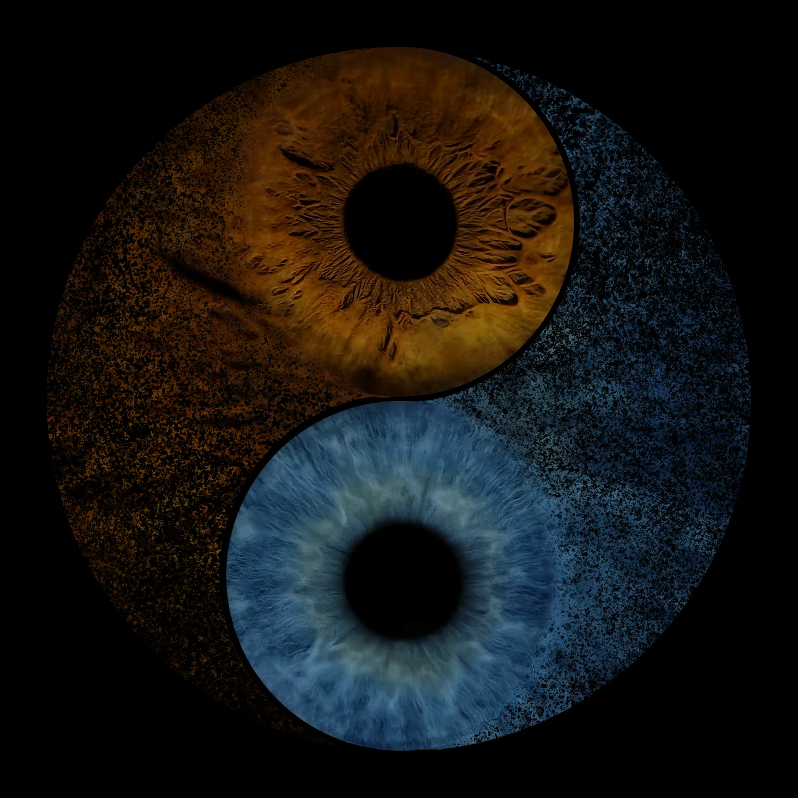 Zwei Irisporträts als Yin-Yang-Komposition