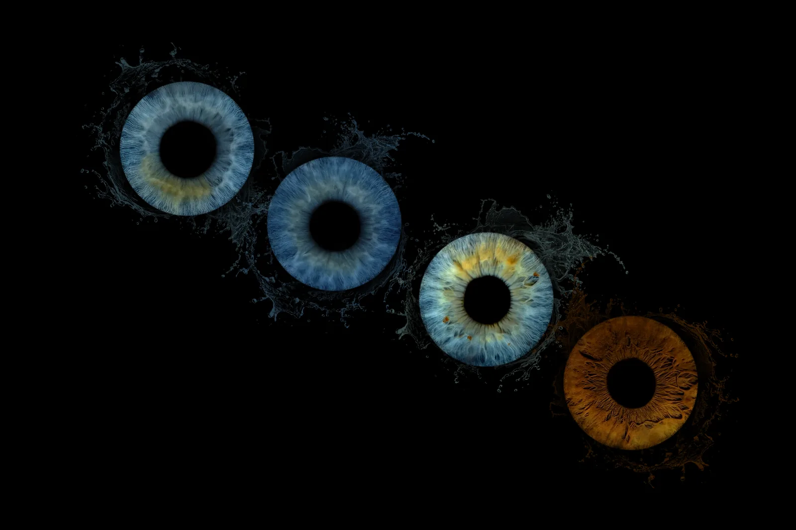 Vier Irisporträts mit kreativem Splash-Effekt